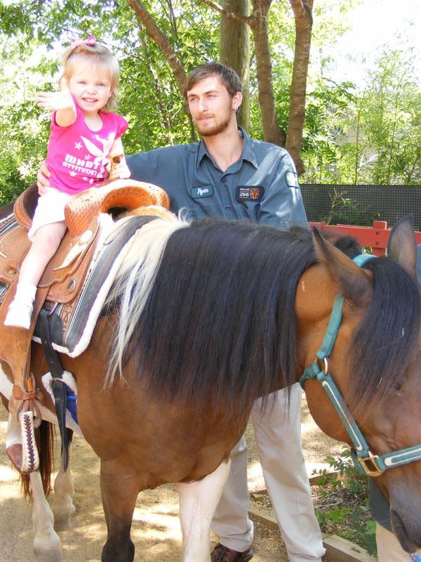 Jess2ndBDay_DALZoo (155) (Medium).JPG - Say hello to my other new friend "Scout" (the horse, not the scruffy dude!?)